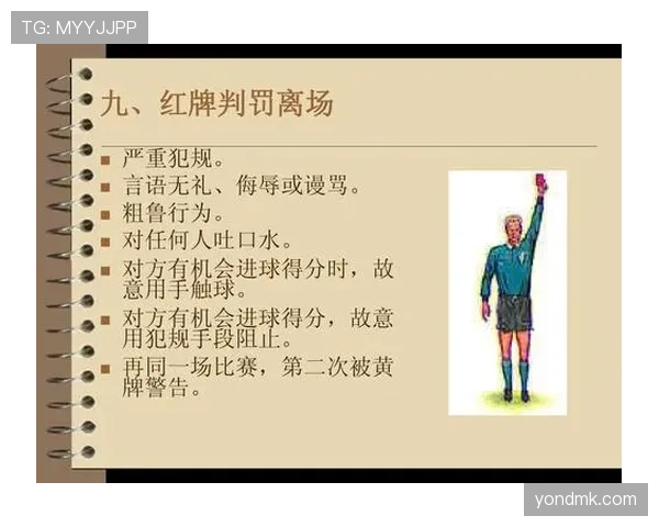 足球判罚标准详解：关键规则与裁判决策依据解析